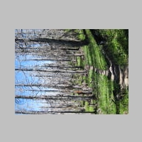16July2014 VistaRidgeTrail 036.jpg